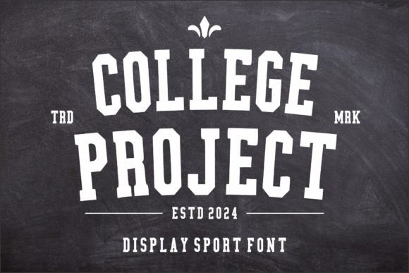 College Project: The Bold Display Font for Dynamic Web Design